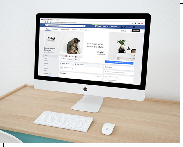 WEB DESIGN / MOBILE DESIGN / BOLG DESIGN / INSTARGRAM